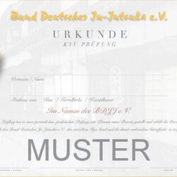 Kyu-Urkunde - DIN A4 mit Siegel